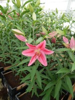 [4368 Vancouver DJ No01.JPG]